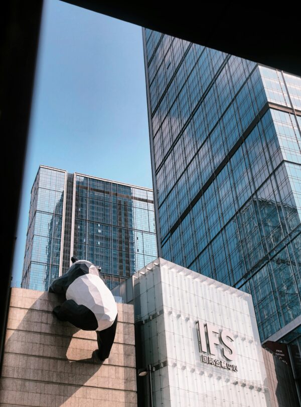 pexels-william-xin-1932780618-33608930